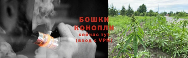 прущая мука Верея